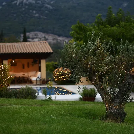 Ferenity Villa *