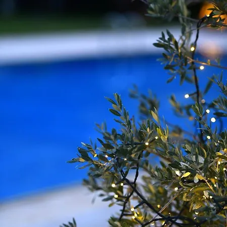 Ferenity Villa *