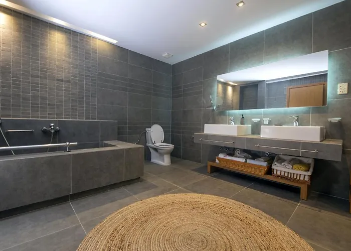 Ferenity Nea Iraklitsa